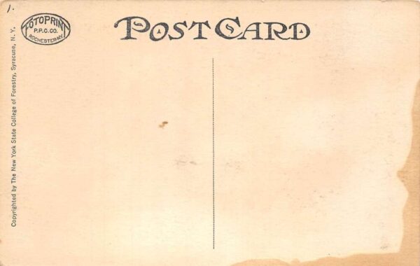 Syracuse New York College of Forestry Saw Mill Vintage Postcard AA103026 - Image 2