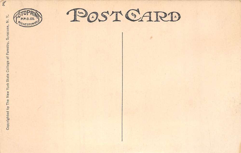 Wanakena New York Ranger School Vintage Postcard AA103028 - Image 2