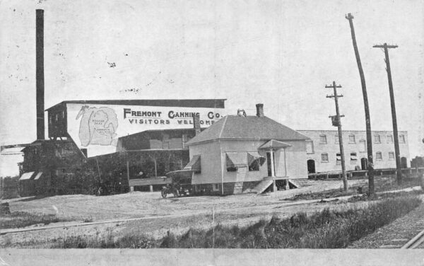 Fremont Michigan Fremont Canning Co Vintage Postcard AA103426