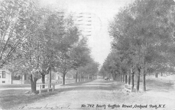 Orchard Park New York South Buffalo Street Vintage Postcard AA103434
