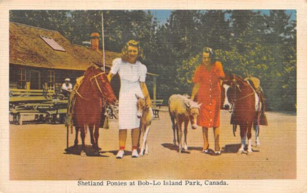 Bob-Lo Island Park Canada Shetland Ponies Vintage Postcard AA103456