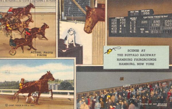 Hamburg New York Buffalo Raceway Harness Racing Vintage Postcard AA103467