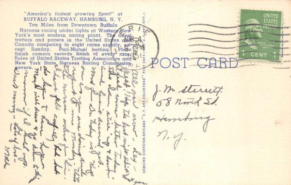 Hamburg New York Buffalo Raceway Harness Racing Vintage Postcard AA103467 - Image 2