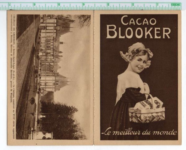 Cacao Blooker Chocolate Ad France Chateau de Grosbois Bi-Fold Postcard AA103495