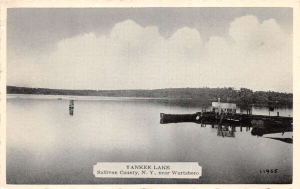 Wurstboro New York Yankee Lake Scenic View Vintage Postcard AA103531