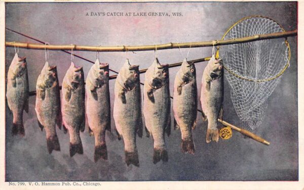 Lake Geneva Wisconsin Fishing A Days Catch Vintage Postcard AA103603