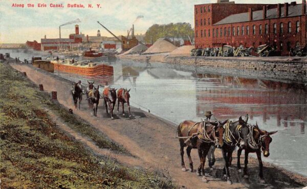 Buffalo New York Along the Erie Canal Vintage Postcard AA103606