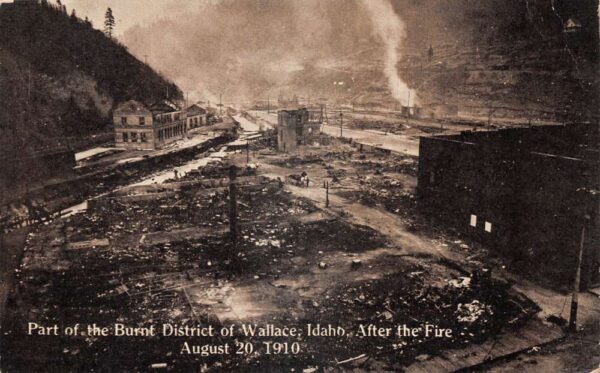 Wallace Idaho 1910 Fire Disaster Birds Eye View Vintage Postcard AA103647
