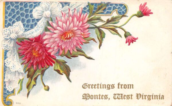 Montes West Virginia Greetings Dahlia Flowers Vintage Postcard AA103682