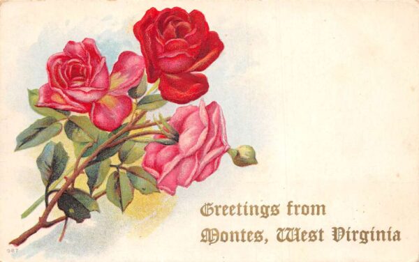 Montes West Virginia Greetings Pink Red Roses Flowers Vintage Postcard AA103683