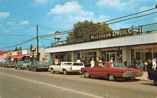 Roscommon Michigan Northern Drug Co Store Street Scene Vintage Postcard AA103699