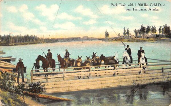 Fairbanks Alaska Pack Train with Gold Dust Mining Related Postcard AA103740