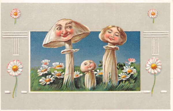 Greetings Fantasy Mushrooom Faces Family Vintage Postcard AA86044