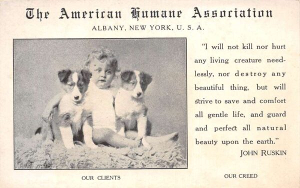American Humane Association Baby with Dogs John Ruskin Quote Postcard AA86059