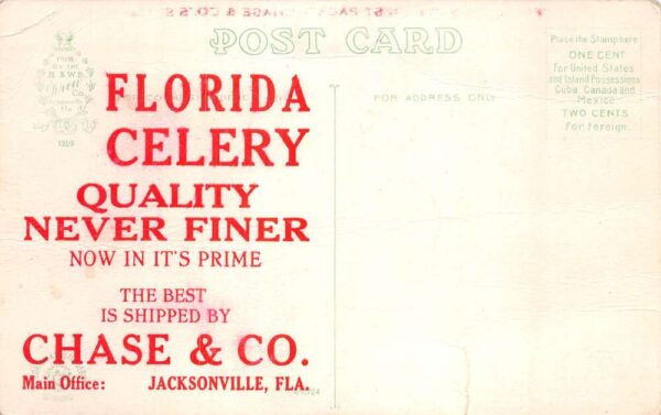 Jacksonville Florida Celery Farm Vintage Postcard AA86074 - Image 2