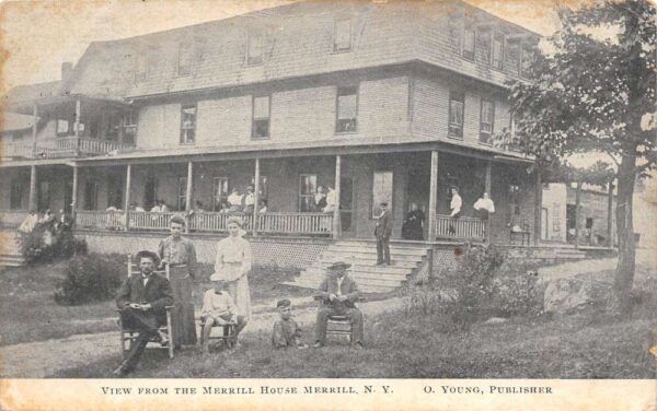 Merrill New York View From The Merrill House, B/W Lithograph Vintage PC U19891