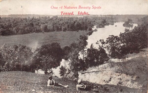 Tensed Idaho A Beauty Spot, B/W Lithograph, Vintage Postcard U19985