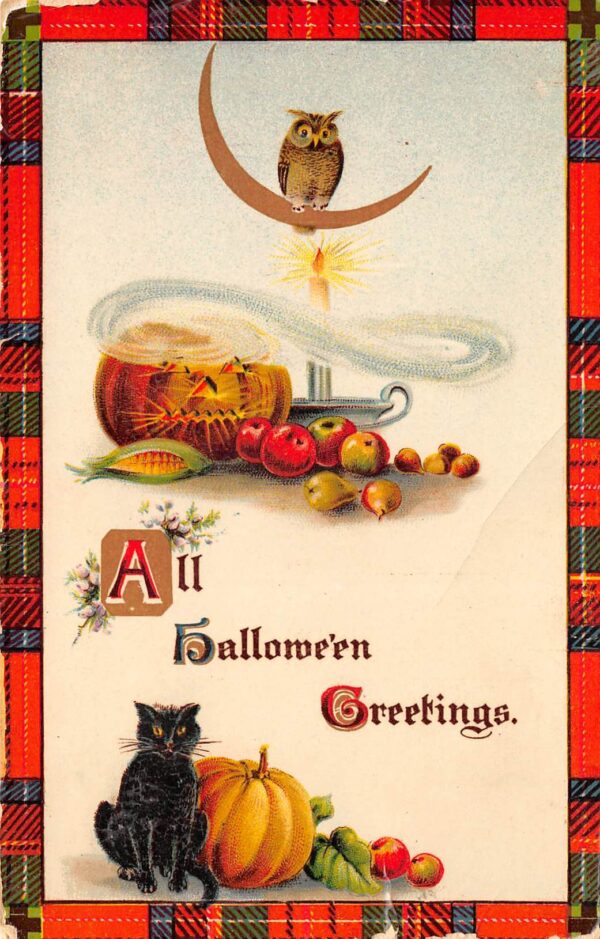All Hallowe'en Greetings, Candle, Owl & Black Cat, Gottschalk, PC U19999