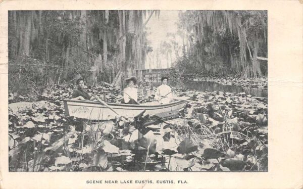 Eustis Florida Scene Near Lake Eustis, B/W Lithograph, Vintage Postcard U20032