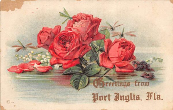 Port Inglis Florida Greetings Roses Flowers Dragonfly Vintage Postcard AA103845