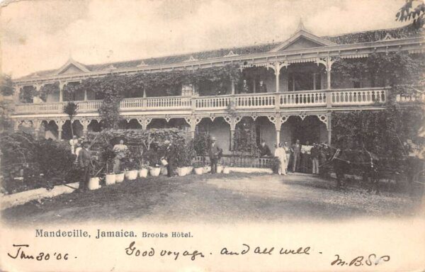Mandeville Jamaica Brooks Hotel Vintage Postcard AA103871