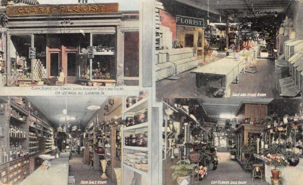 Scranton Pennsylvania Clark Florist Multiview Seed Room Cut Flwoers PC AA103996