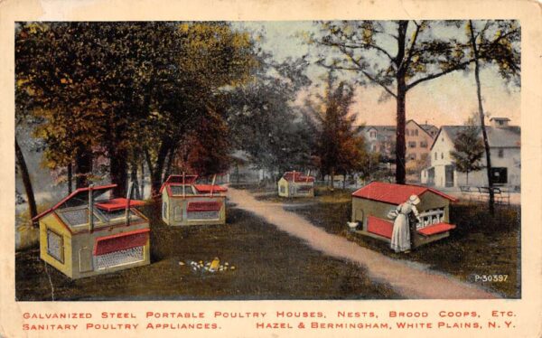 White Plains New York Hazel Bermingham Poultry Appliances Farming Ad PC AA103997