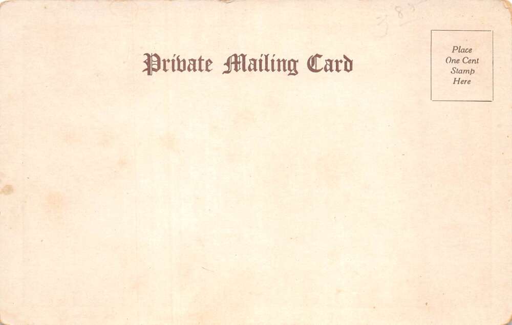 Lake George New York Wiawaka Rose Cottage Vintage Postcard AA84509 - Image 2