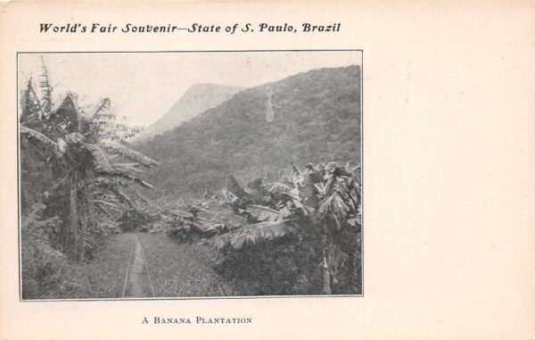 Sao Paulo Brazil Banana Plantation Worlds Fair Souvenir Vintage Postcard AA84675
