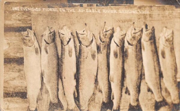 Grayling Michigan Au Sable River Fishing Catch Real Photo Postcard AA84683