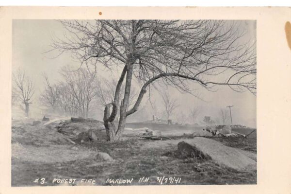 Marlow New Hampshire Forest Fire Disaster Real Photo Vintage Postcard AA84694