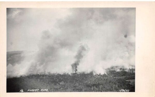 Marlow New Hampshire Forest Fire Disaster Birds Eye View Real Photo PC AA84695