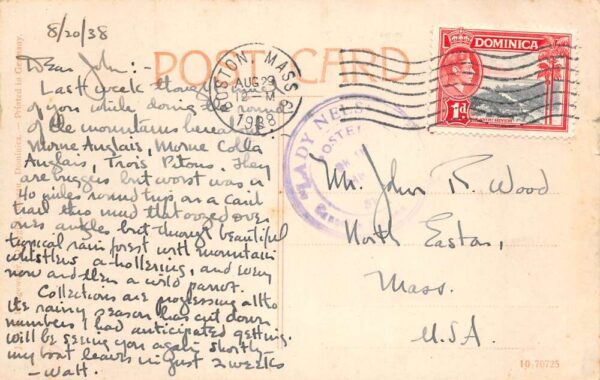 Dominica Layou River Scenic View Row Boat Vintage Postcard AA84708 - Image 2