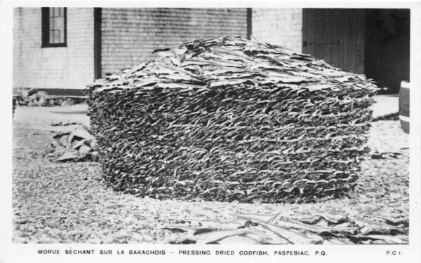 Paspebiac Quebec Canada Pressing Dried Codfish Real Photo Postcard AA84714