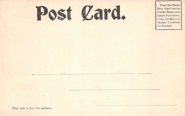 Willoughby Vermont ? Birds Eye View Greetings Vintage Postcard AA84725 - Image 2