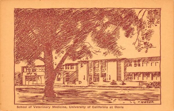 Davis California Veterinary Medicine School, University of California PC U18912