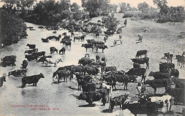South Dakota Fording The Moreau, B/W Lithograph, Vintage Postcard U19014