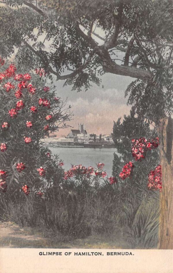 Hamilton Bermuda Harbor View through Garden Hand Colored Postcard AA84778