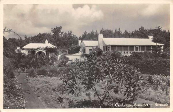 Somerset Bermuda Cambridge Real Photo Vintage Postcard AA84781