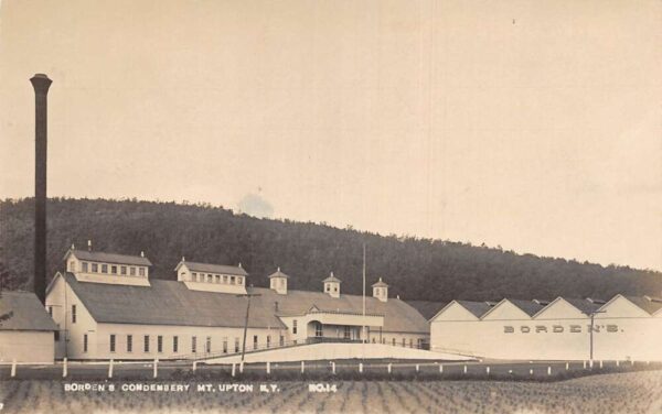 Mount Upton Kentucky Bordens Condensery Real Photo Vintage Postcard AA84816