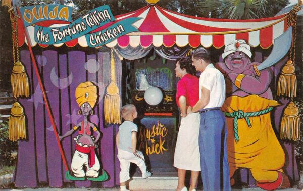 Silver Springs Florida Ouija Fortune Telling Chicken, Deer Ranch, PC U19132
