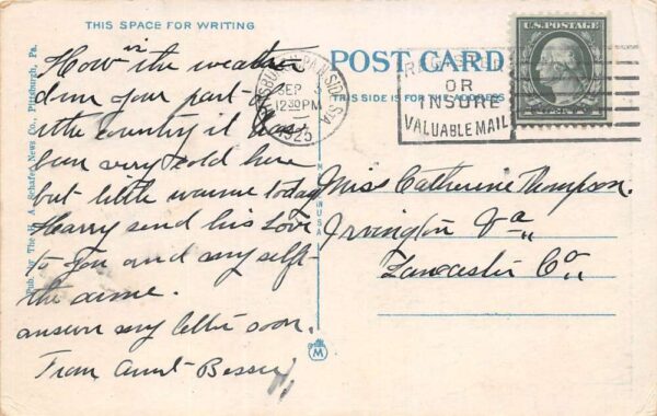 Oakmont Pennsylvania At The Willows, White Border, Vintage Postcard U19159 - Image 2
