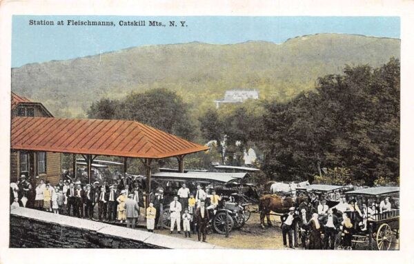 Fleischmanns New York Catskill Mts Train Station Depot Postcard AA84906