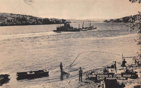 East Haddam Connecticut Shad Fishing in River Vintage Postcard AA84962