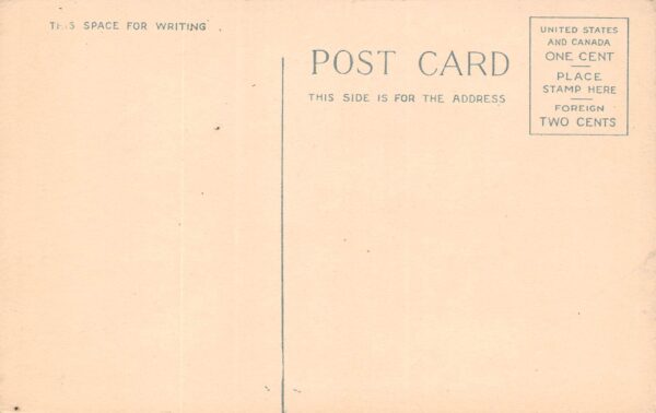 Plum Island Massachusetts Mackerel Gulls, White Border, Vintage Postcard U19232 - Image 2
