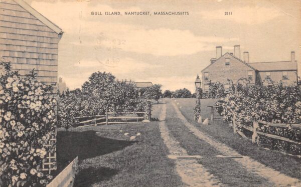 Nantucket Massachusetts Gull Island, B/W Lithograph Vintage Postcard U19234