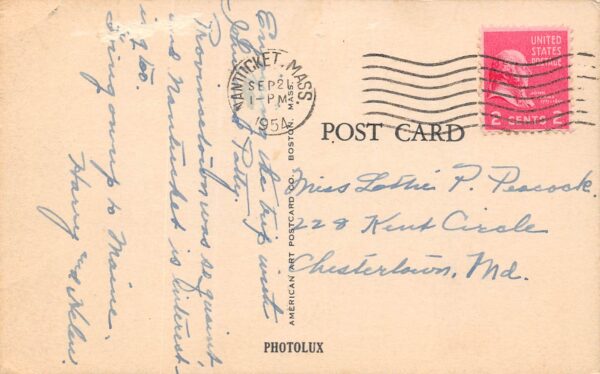 Nantucket Massachusetts Gull Island, B/W Lithograph Vintage Postcard U19234 - Image 2