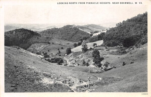 Bramwell West Virginia Looking N. From Pinnacle Heights, Vintage PC U19249