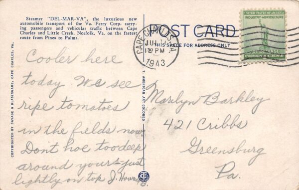 Cape Charles Virginia Ferry Steamer "Del-Mar-Va", White Border, Postcard U19263 - Image 2