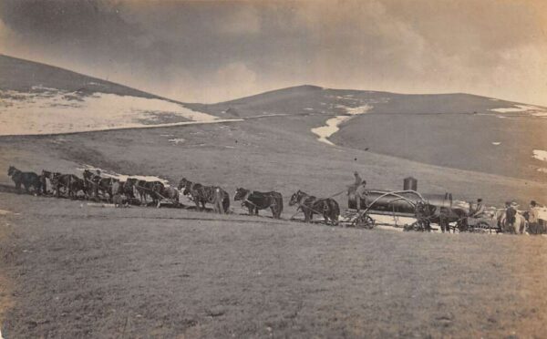 Horse Team Hauling Steam Engine Real Photo Vintage Postcard AA85660